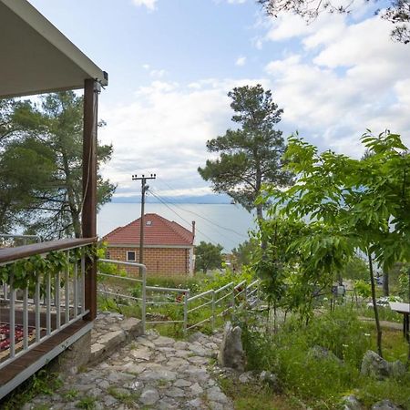 Among The Trees Villa Široka Exterior foto