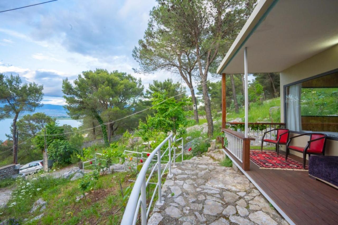 Among The Trees Villa Široka Exterior foto