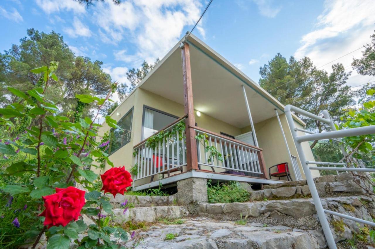 Among The Trees Villa Široka Exterior foto