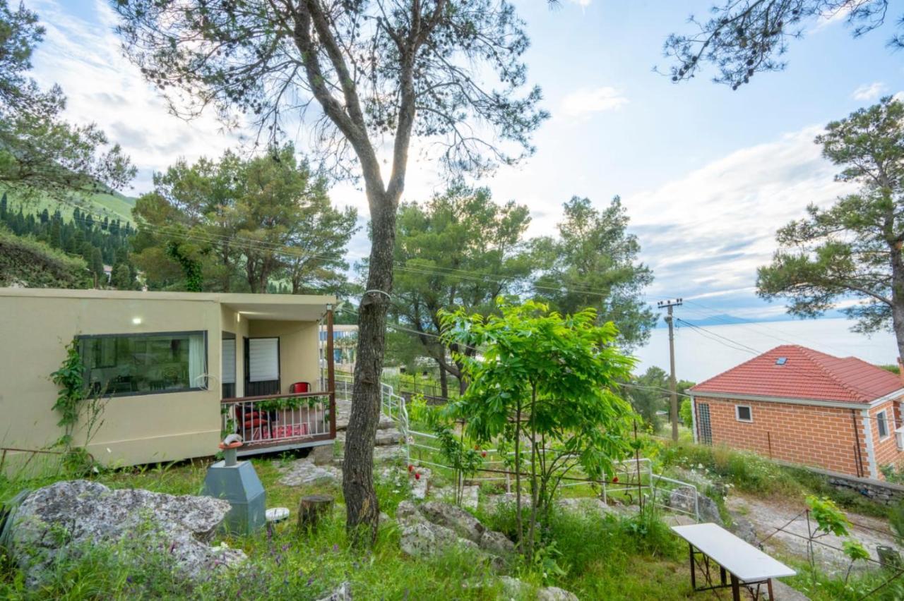 Among The Trees Villa Široka Exterior foto