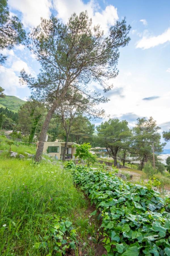 Among The Trees Villa Široka Exterior foto